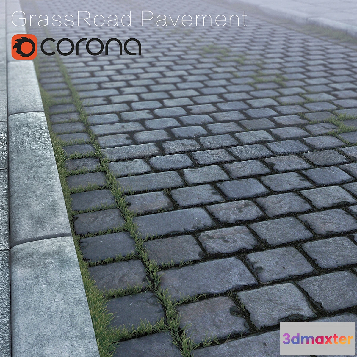 1420306 - GrassRoad 3D Max