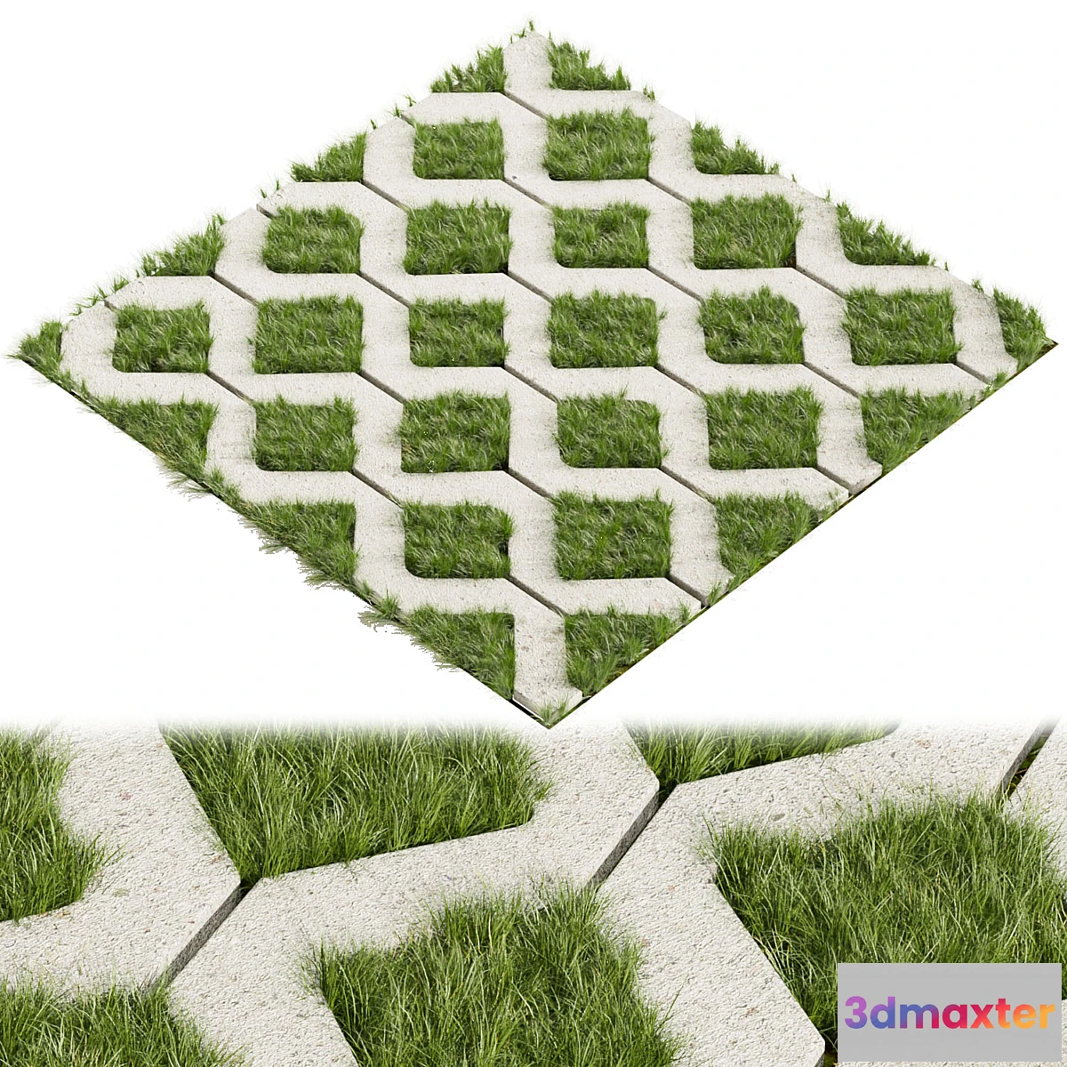 1477636 - Collection plant vol 398 - grass - concrete - tileable 3D Max