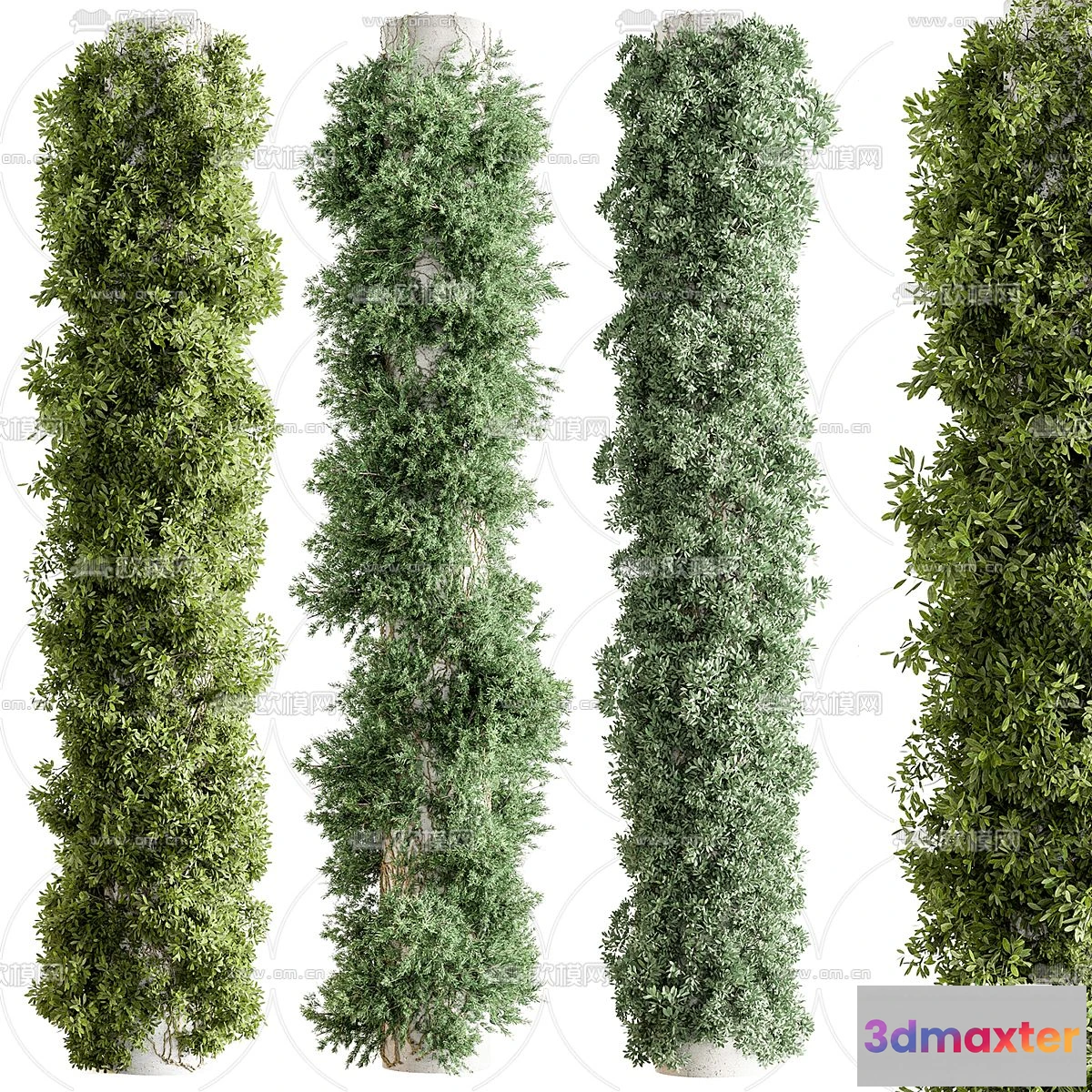 1238944 - PILLAR 3D MODELS - CORONA - 3D MODEL - 596