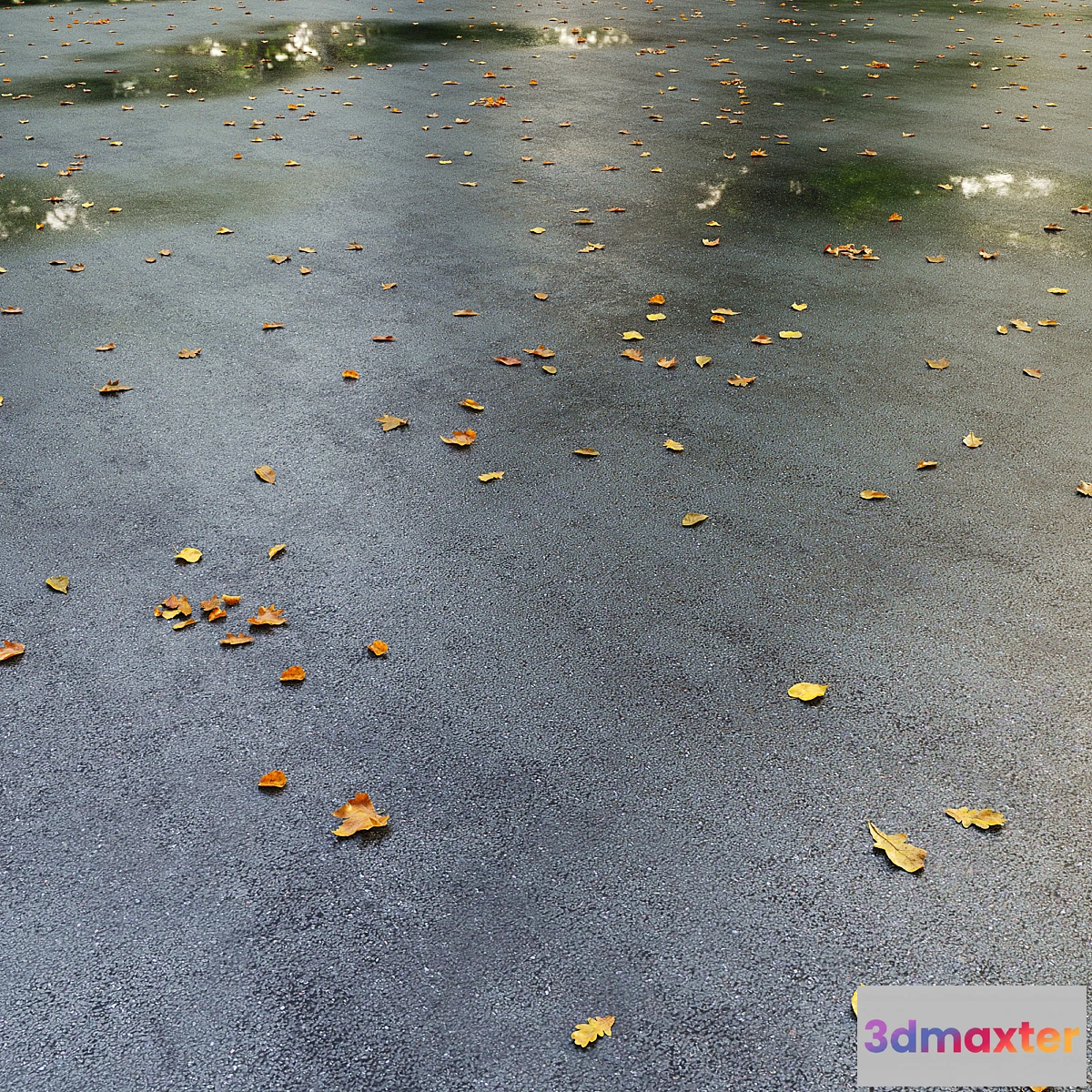 1300418 - Wet asphalt with leaves. Autumn. Editable - No.2 3D Max