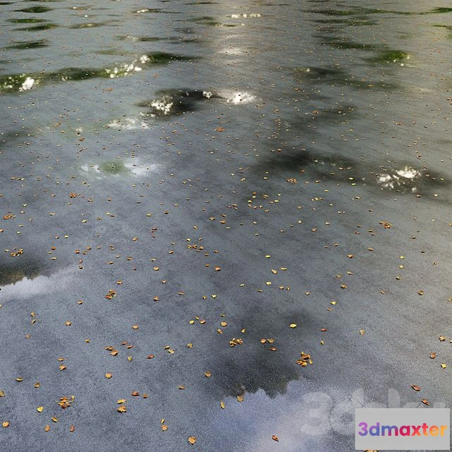 1556633 - Wet asphalt with leaves. Autumn. Editable 3D Max
