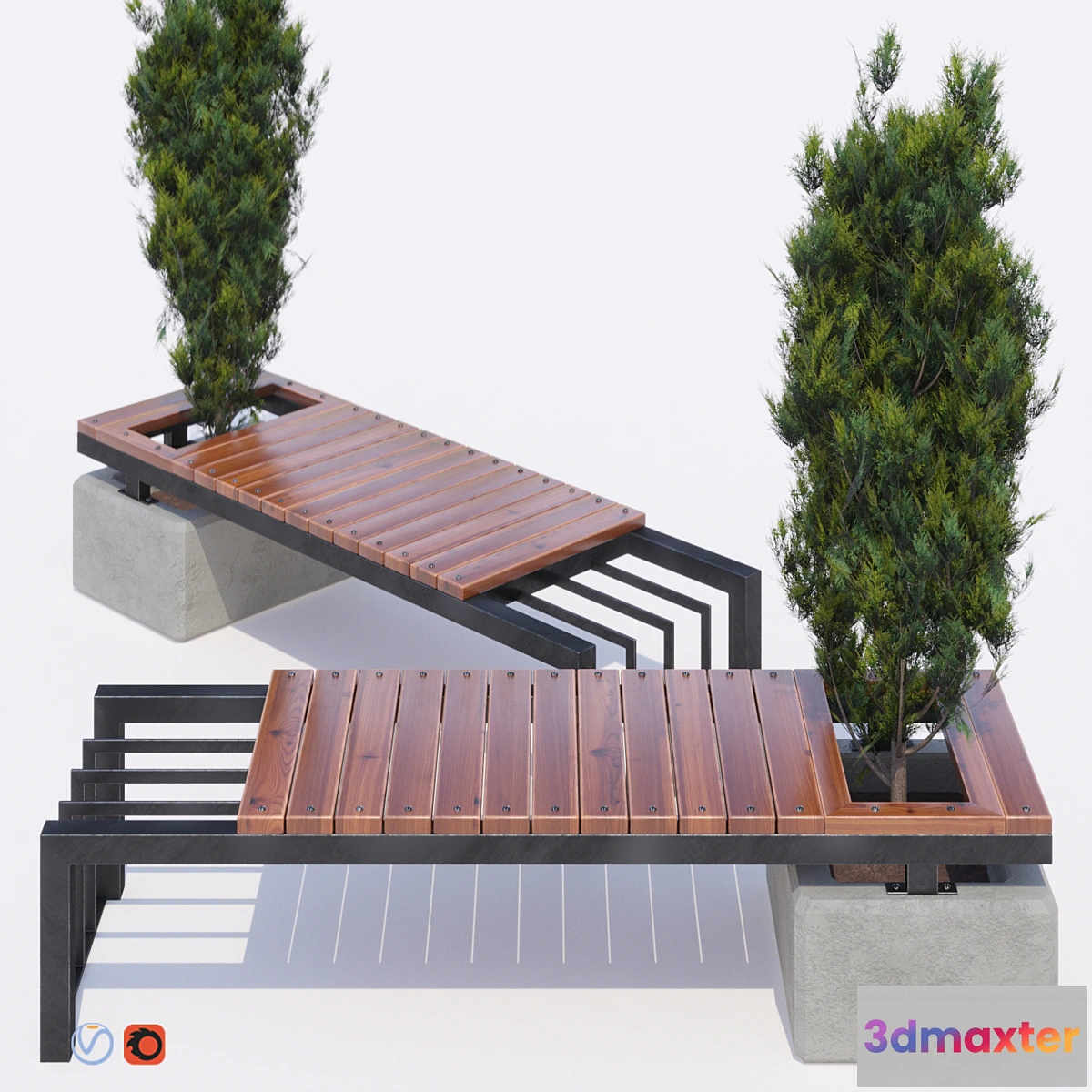654599 - bench and thuja