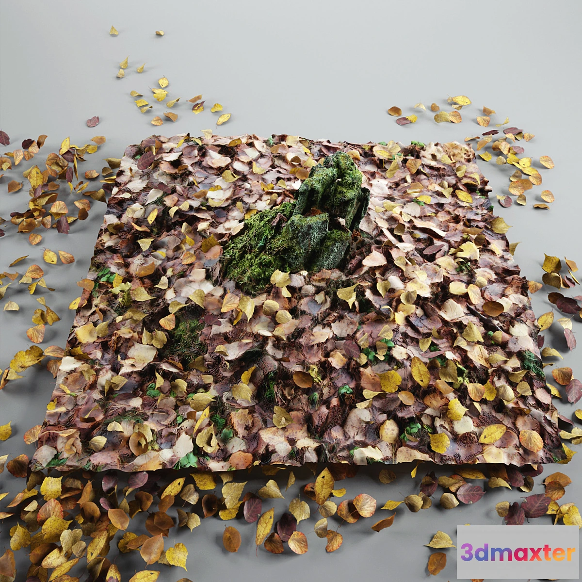 662637 - Old stump - No.2