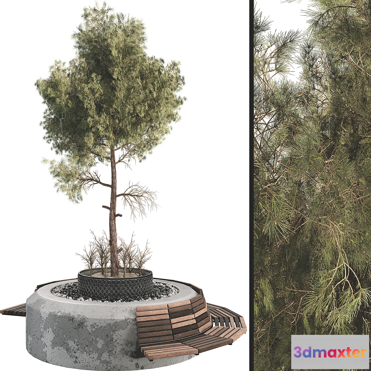 776711 - Outdoor Plant Set 06