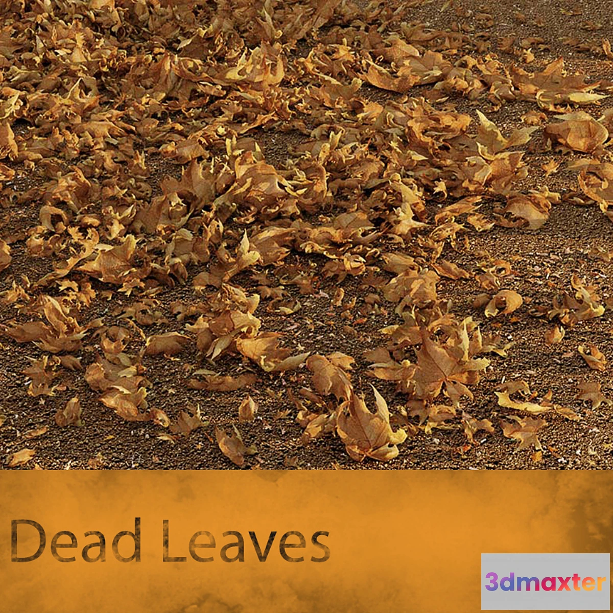 822528 - Dead Leaves - No.3
