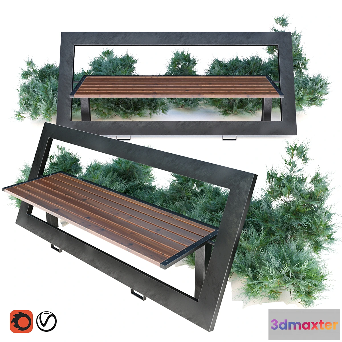 849691 - bench with juniper