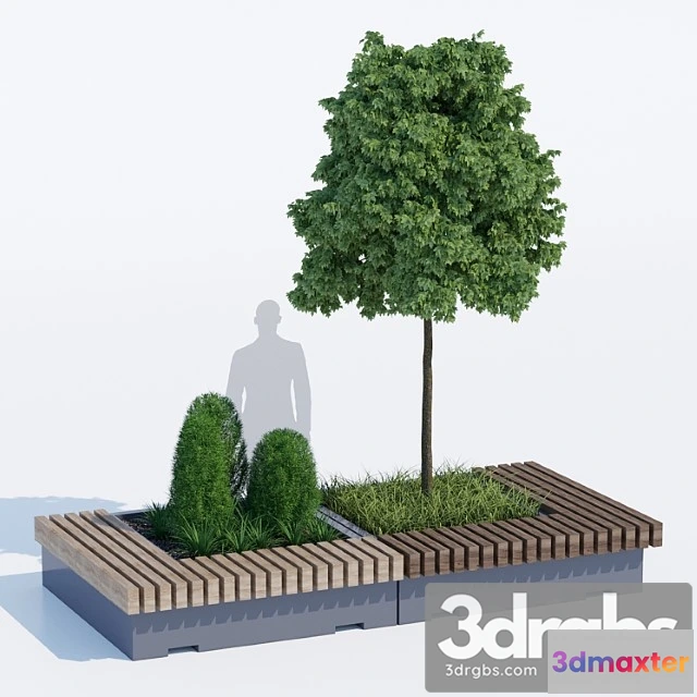 908542 - Big Green Benches Tree