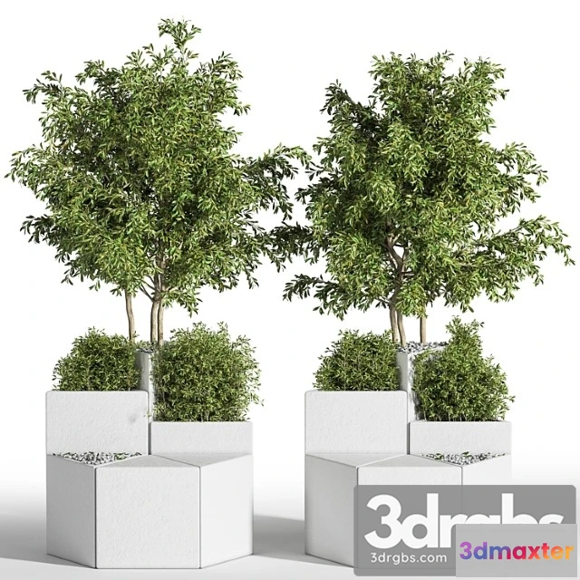 908742 - Outdoor Chair of The Shrub