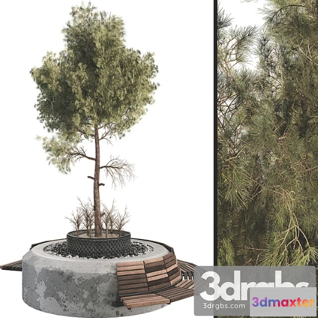 908756 - Outdoor plant set 06