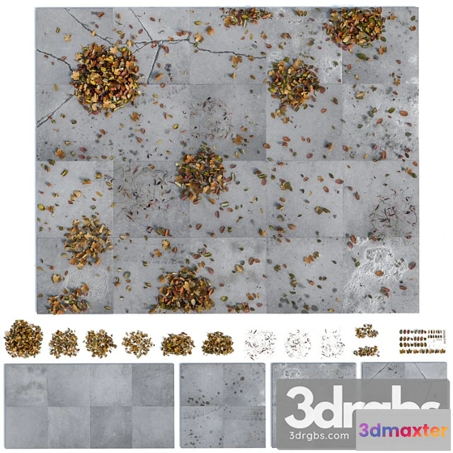 908768 - Pavement and Debris