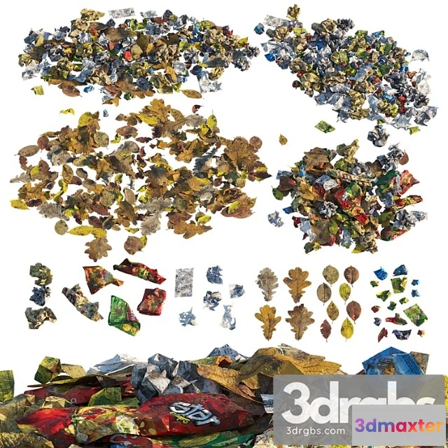 908964 - Trash Of Paper and Leaves