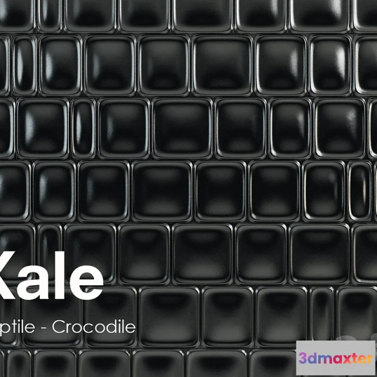 1268967 - KALE Reptile - Crocodile 3D Max