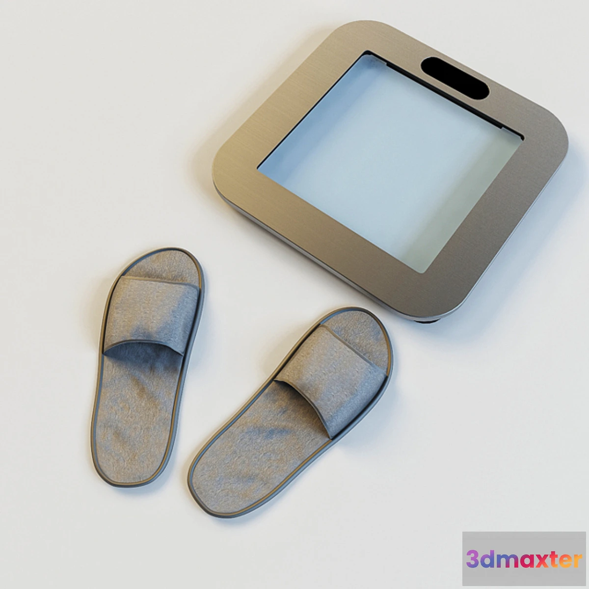 1446826 - Scales and slippers 3D Max