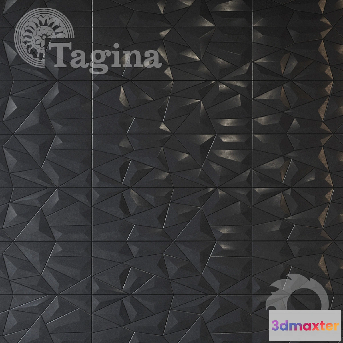 651459 - Tagina Detail colection