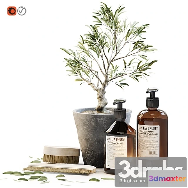 910196 - Tiny Bonsai Olive Tree in Stone Pot with Decor Set for Bathroom