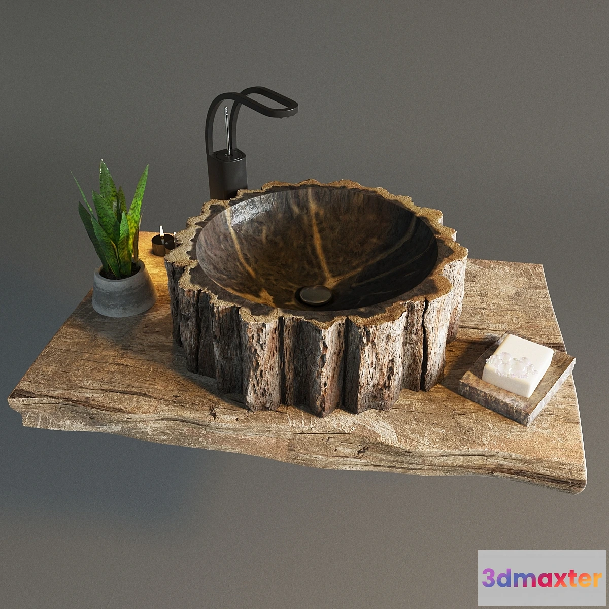 810812 - Shell from the petrified tree - No.2