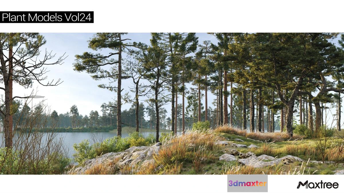 1222700 - Maxtree Plant Models Vol.24