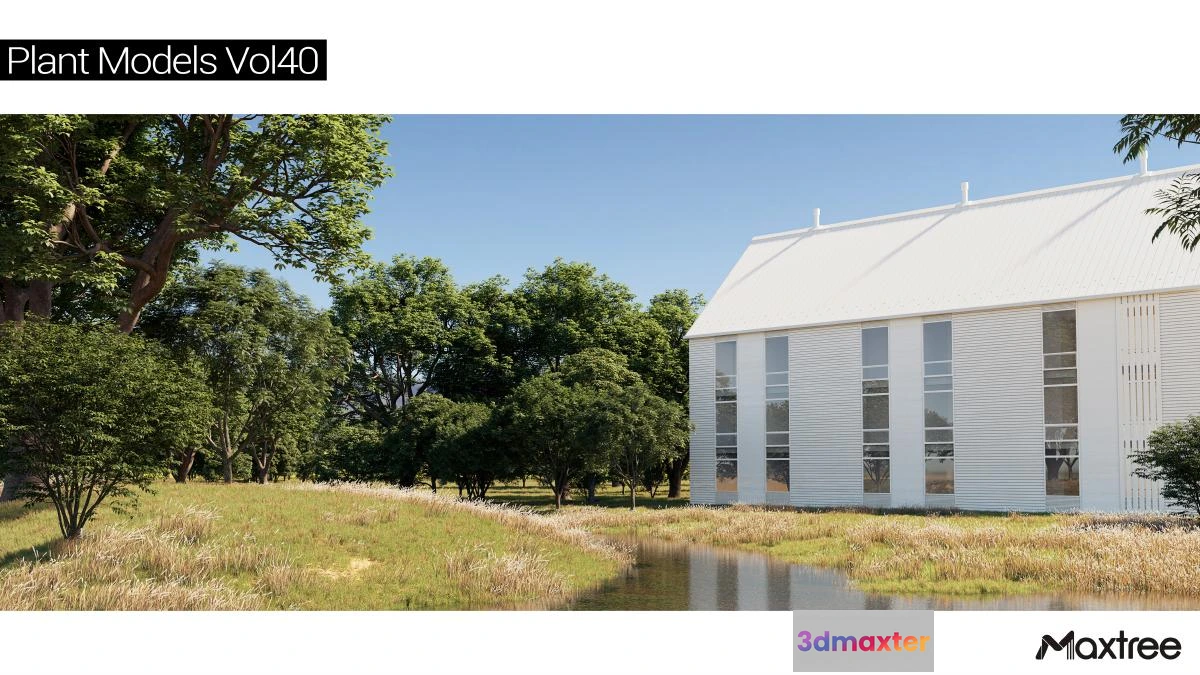 1222732 - Maxtree Plant Models Vol.40