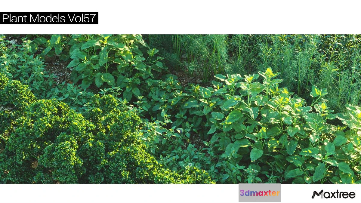 1222766 - Maxtree Plant Models Vol.57