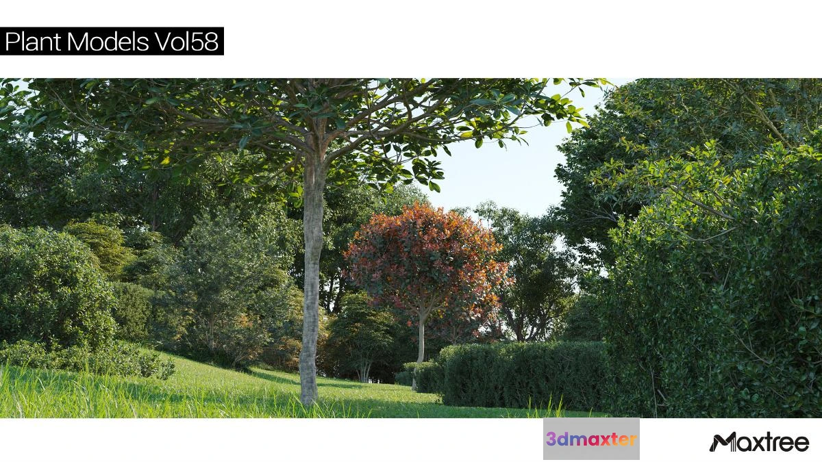 1222768 - Maxtree Plant Models Vol.58