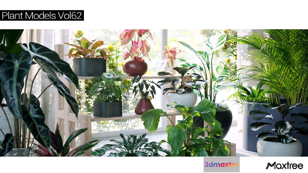 1222776 - Maxtree Plant Models Vol.62