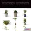 1222876 - Evermotion Archmodels Vol 024 [Houseplant]