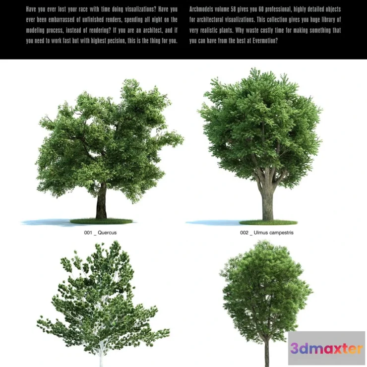 1222944 - Evermotion Archmodels Vol 058 [trees]