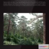 1223062 - Evermotion Archmodels Vol 117 [Tree]