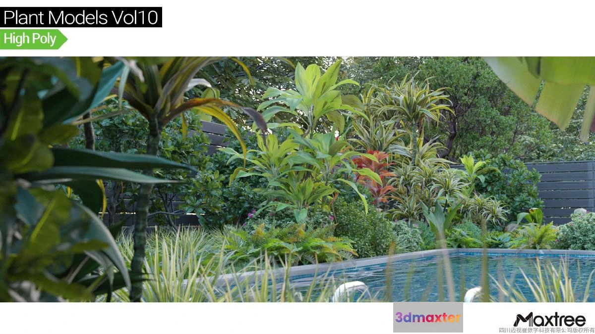 1264490 - Maxtree Plant Models Vol.10