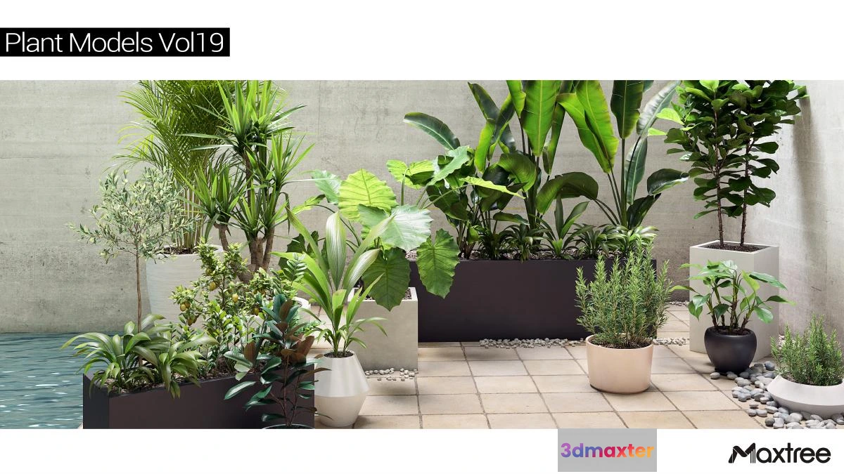 1264510 - Maxtree Plant Models Vol.19