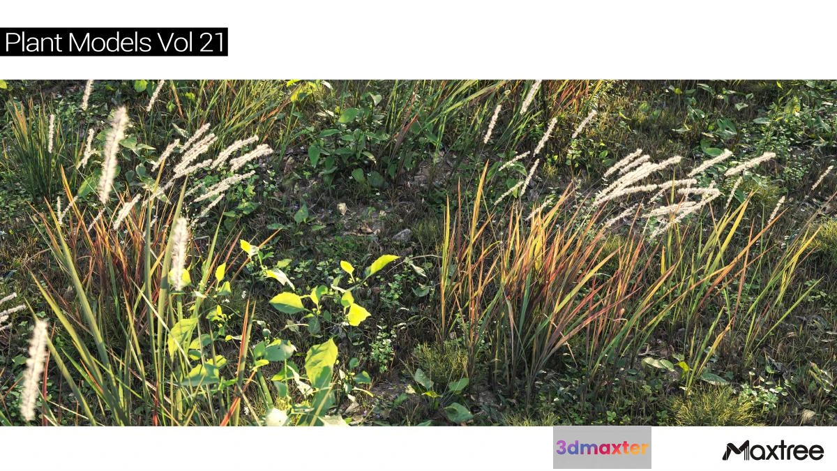 1264514 - Maxtree Plant Models Vol.21