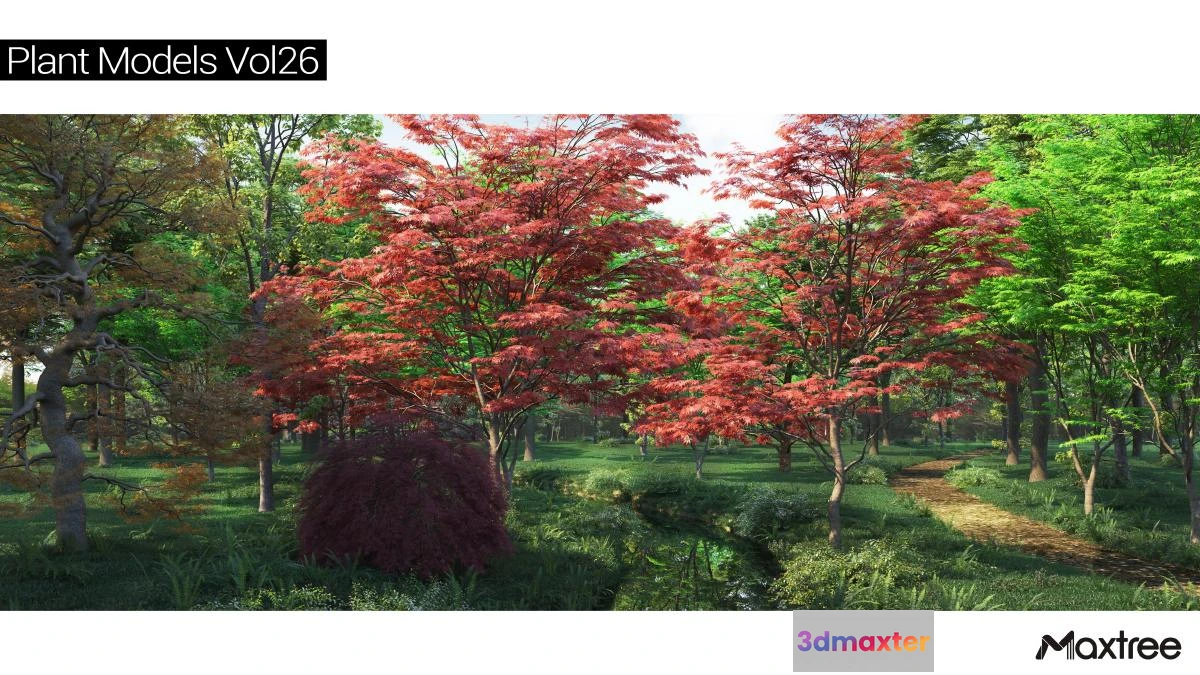 1264524 - Maxtree Plant Models Vol.26