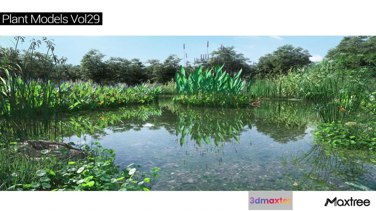 1264530 - Maxtree Plant Models Vol.29