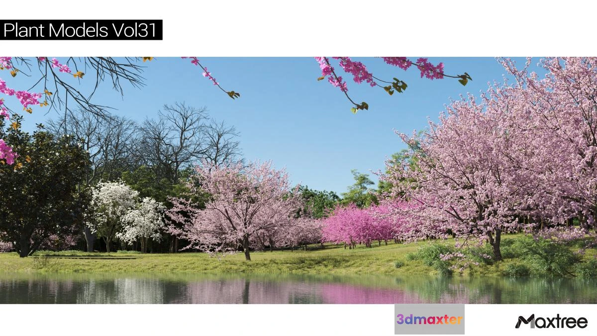 1264534 - Maxtree Plant Models Vol.31