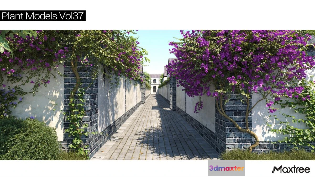 1264546 - Maxtree Plant Models Vol.37