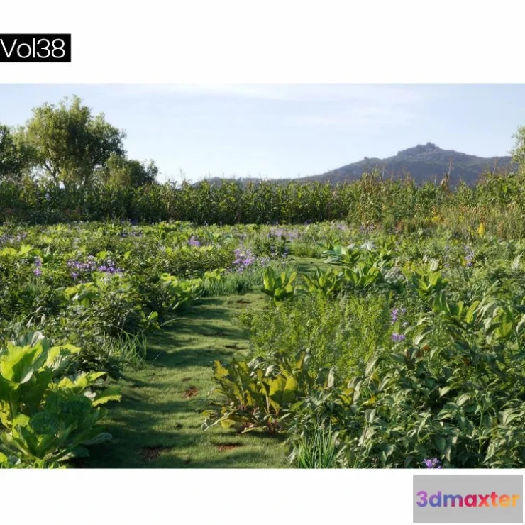 1264548 - Maxtree Plant Models Vol.38