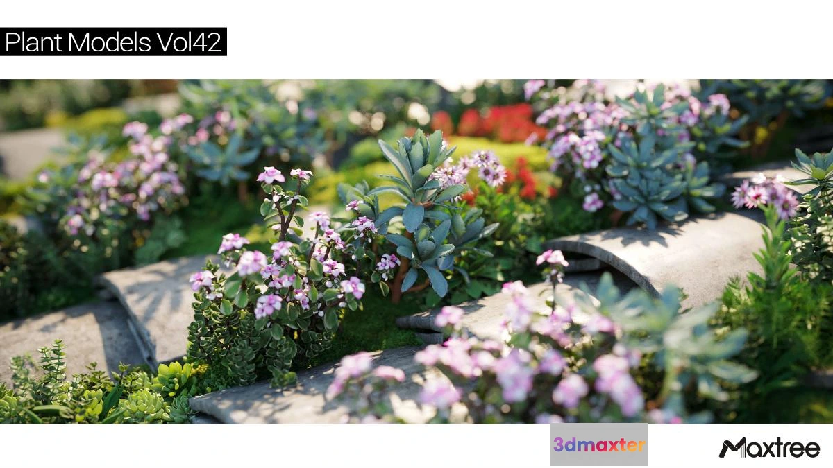 1264556 - Maxtree Plant Models Vol.42