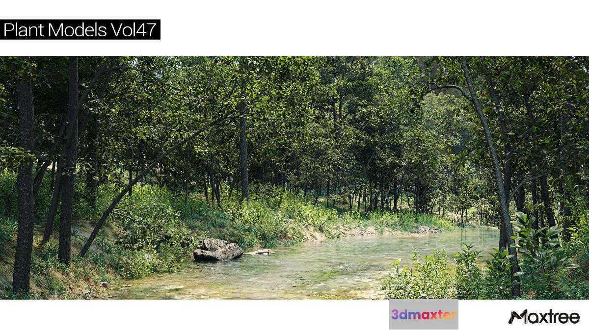 1264566 - Maxtree Plant Models Vol.47