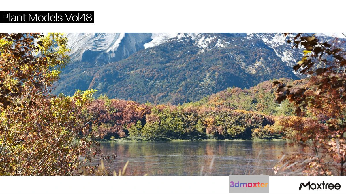 1264568 - Maxtree Plant Models Vol.48