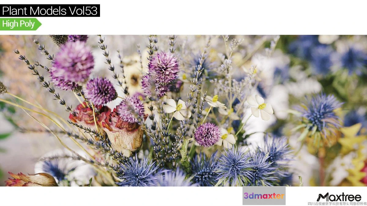 1264578 - Maxtree Plant Models Vol.53