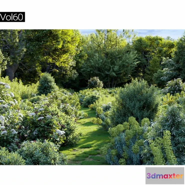 1264592 - Maxtree Plant Models Vol.60