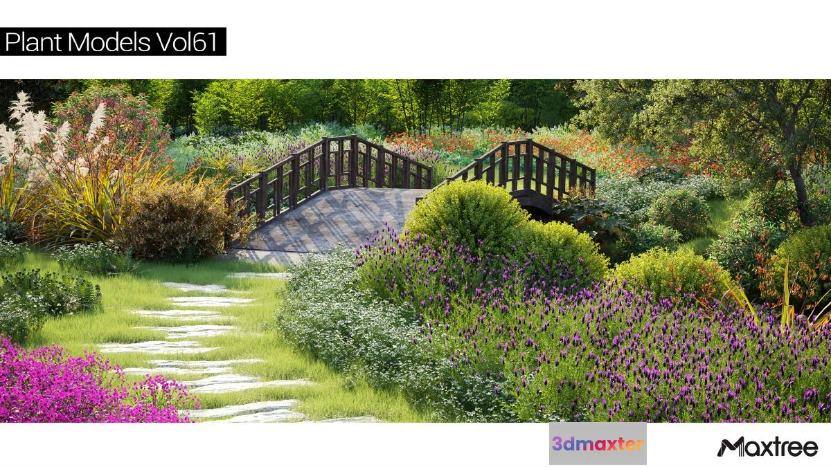 1264594 - Maxtree Plant Models Vol.61