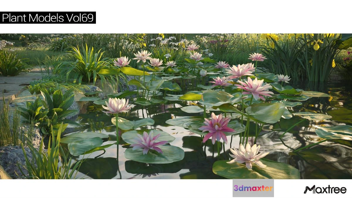 1264610 - Maxtree Plant Models Vol.69