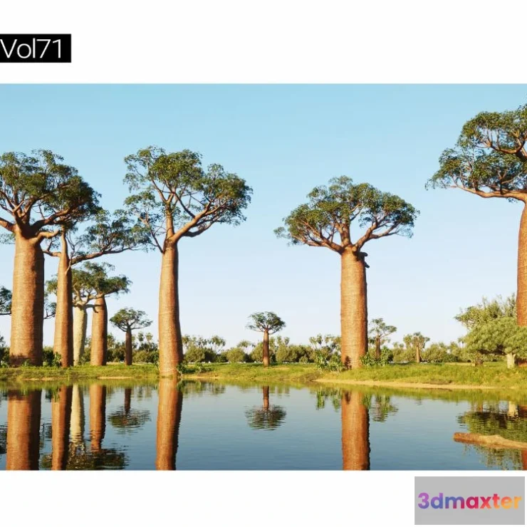 1264614 - Maxtree Plant Models Vol.71