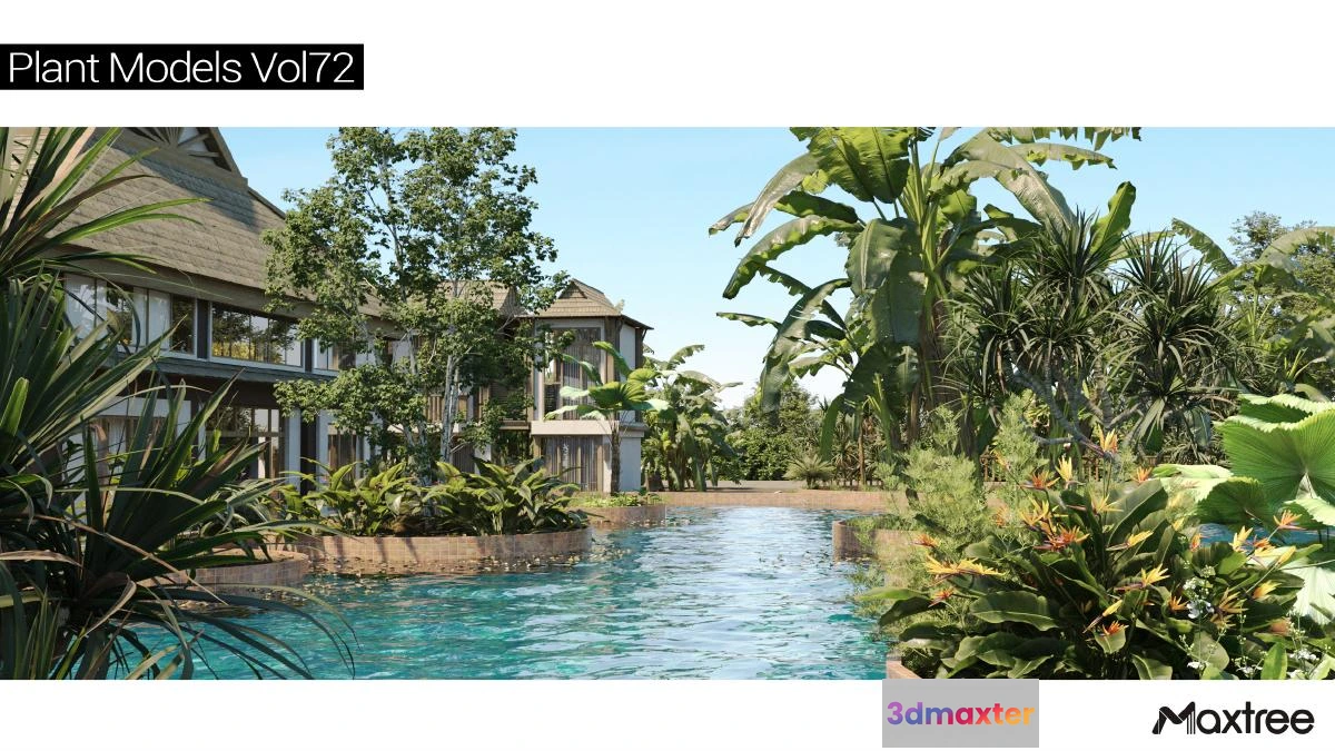 1264616 - Maxtree Plant Models Vol.72