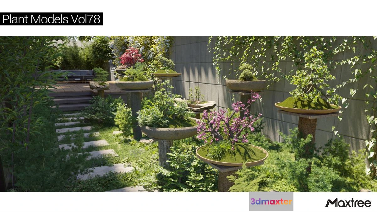 1264628 - Maxtree Plant Models Vol.78