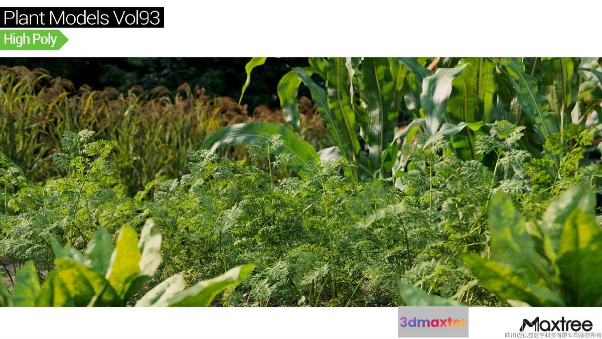 1264648 - Maxtree Plant Models Vol.93