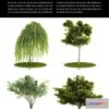 1264752 - Evermotion Archmodels Vol 052 [trees shrubs]