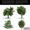 1264764 - Evermotion Archmodels Vol 058 [trees]