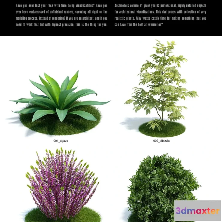 1264770 - Evermotion Archmodels Vol 061 [trees shrubs]
